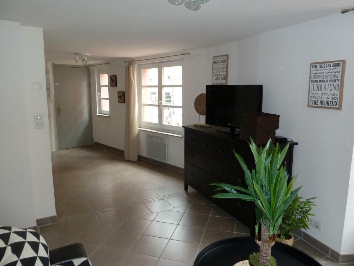 Apartament T 2 Cosy Dans Le Centre Historique Le Puy-en-Velay Zewnętrze zdjęcie